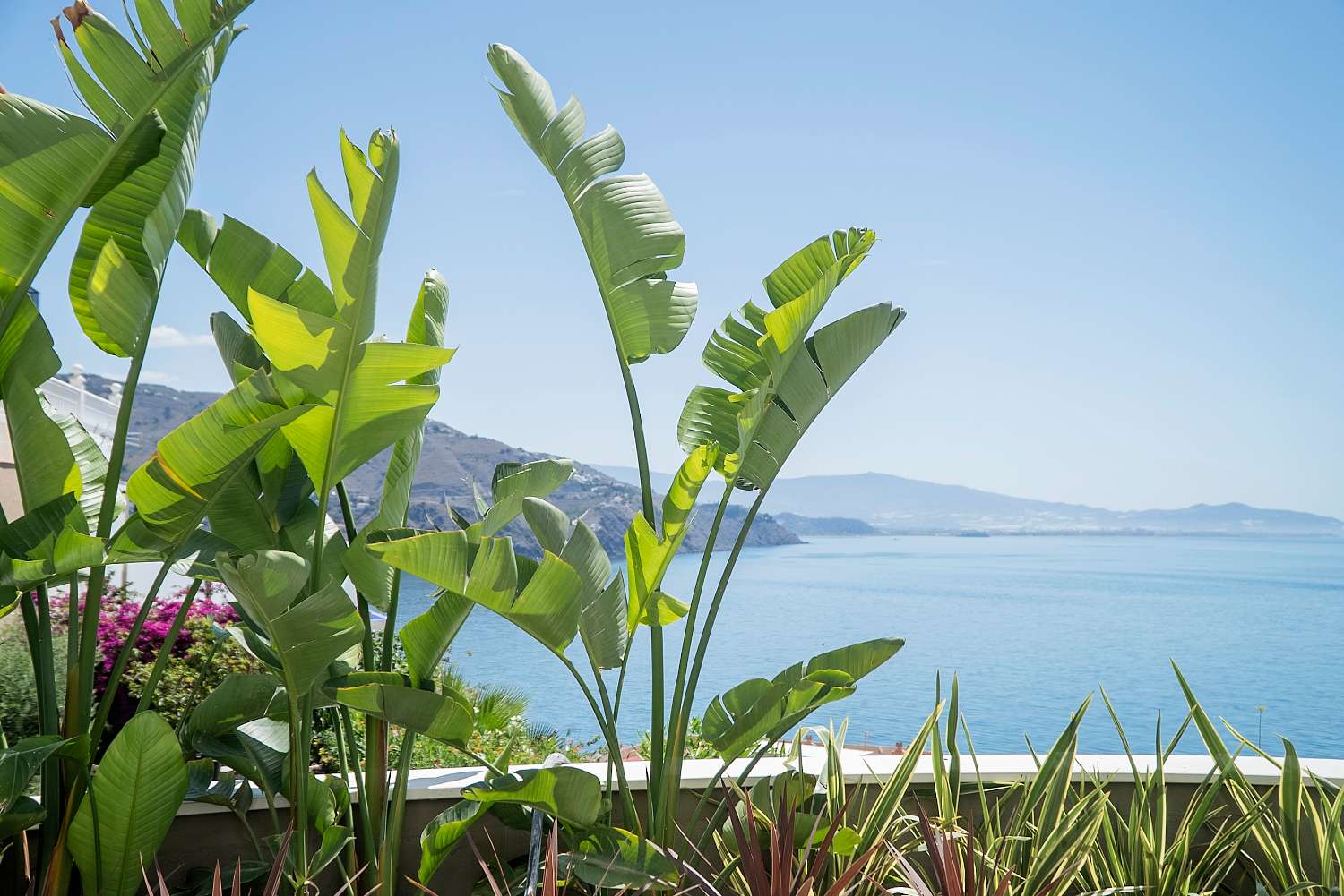 ¡Villas de lujo con catamarán!