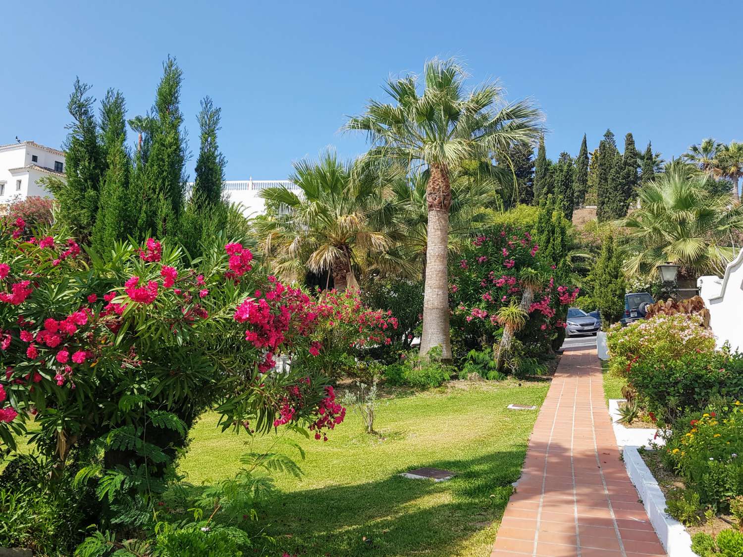 Large terrace, seaview and pool!