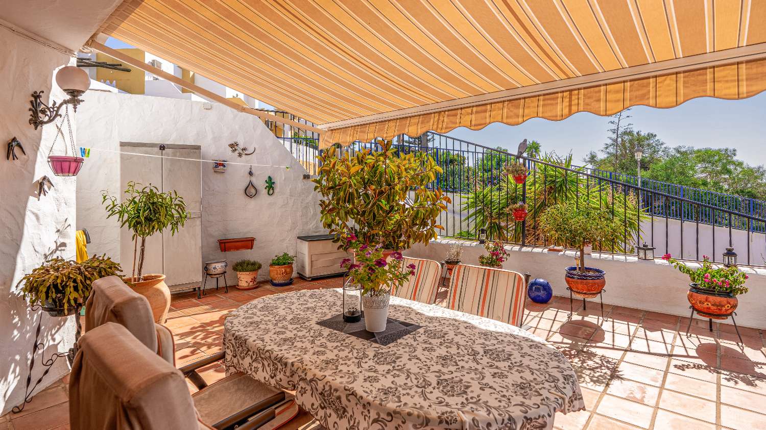 Large corner apartment with sunny terrace!