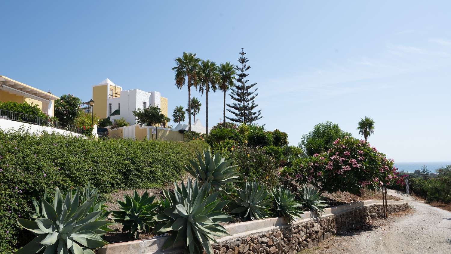 ¡Amplio apartamento de esquina con terraza soleada!