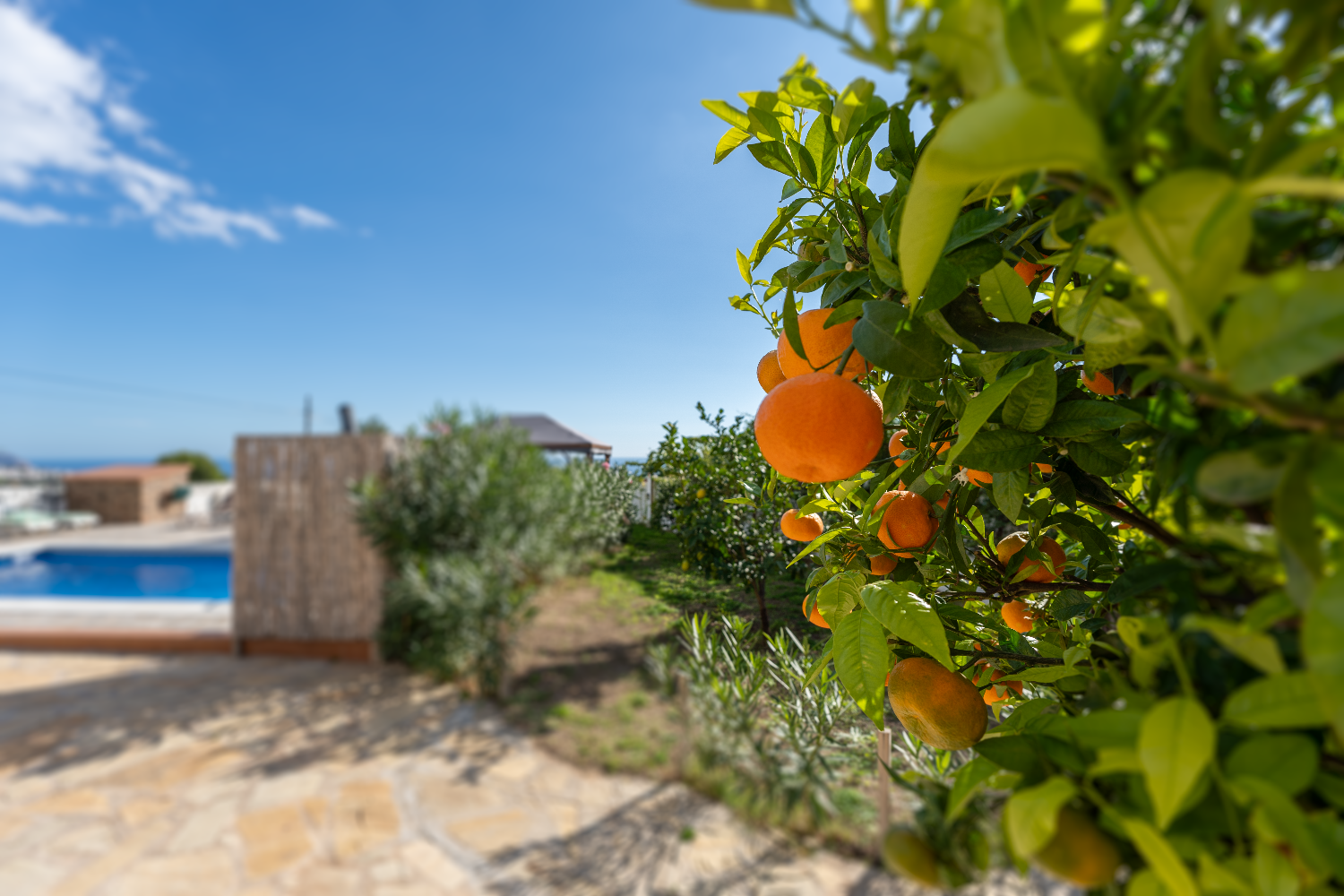 Villa in vendita a Frigiliana